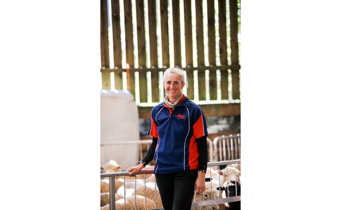 Building a career around a passion for wool