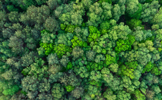 Revenues for Nature: GFI backs investment initiatives designed to unlock $200m for nature restoration
