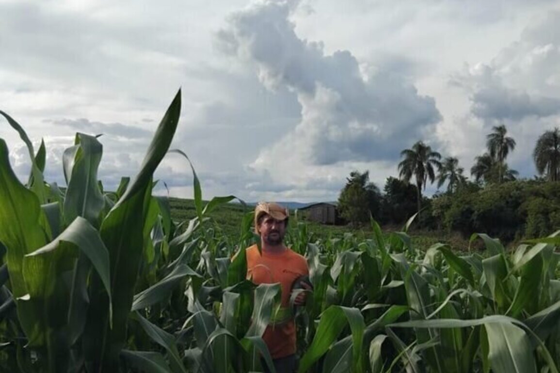 After occupying land for decades, thousands of Brazilian families have the chance to put down roots