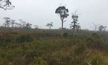 Heemskirk Road, Zeehan, Tasmania.