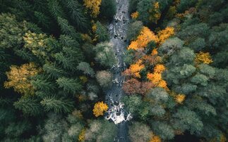 Partner Insight: The changing face of responsible investing in 2026