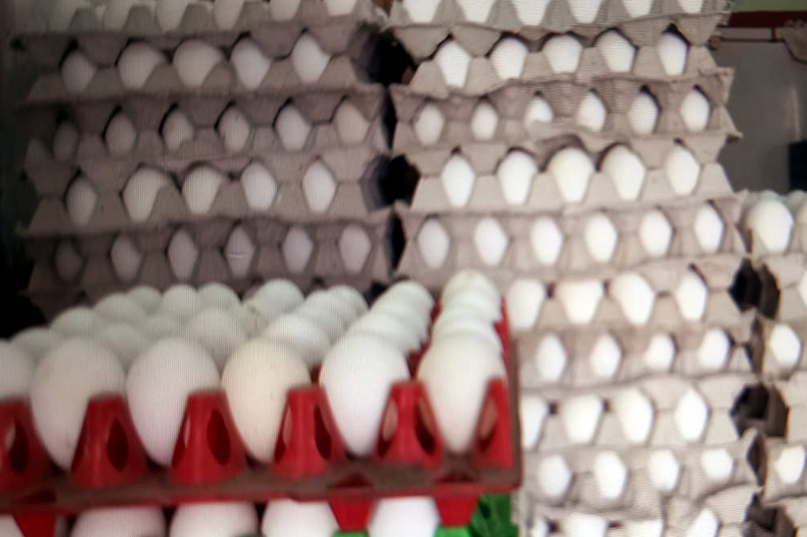 FSSAI to collect samples to check nitrofurans presence in eggs