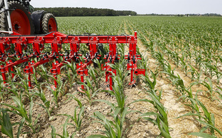 Artificial intelligence in farming: The hidden carbon cost of AI