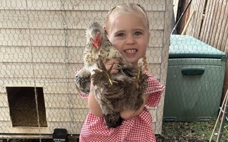 Clarkson invites 4-year-old entrepreneur to Diddly Squat following tragic egg stall destruction 