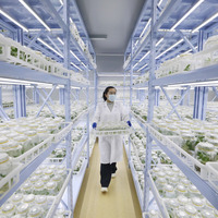 #CHINA-SPRING PLOUGHING-TECHNOLOGY (CN)
