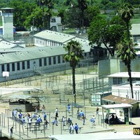 Tinisch Hollins- California should reinvest prison savings in crime prevention