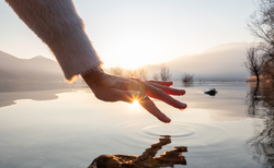 'Scale of nature-related risks not yet known' says BofE's Breeden 