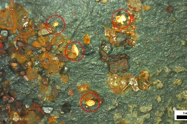 Exploração no projeto Rio Madeira encontra ouro visível