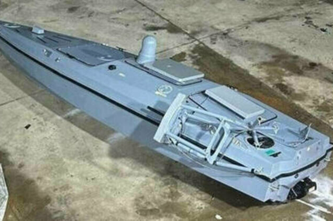 Explosives-laden Ukrainian drone found off Turkish coast - media (VIDEO)