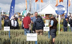 Cereals 2022: New wheat varieties on display