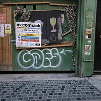 Man sentenced for defacing Irish Rail carriages with graffiti