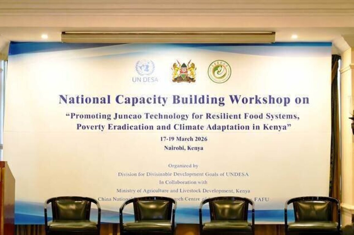 Kenya explores Juncao technology to boost resilient food systems