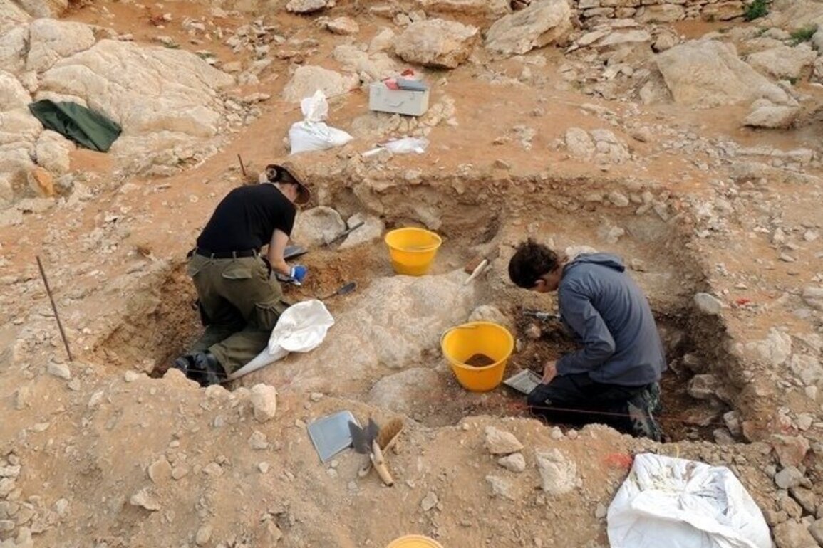Sharjah launches AED2 million Faya Research Grant for heritage science