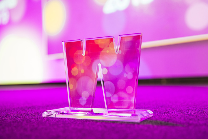 Women in IT Awards trophy