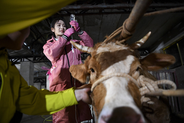 Crossing mountains, Chinese youth building future beyond the fields