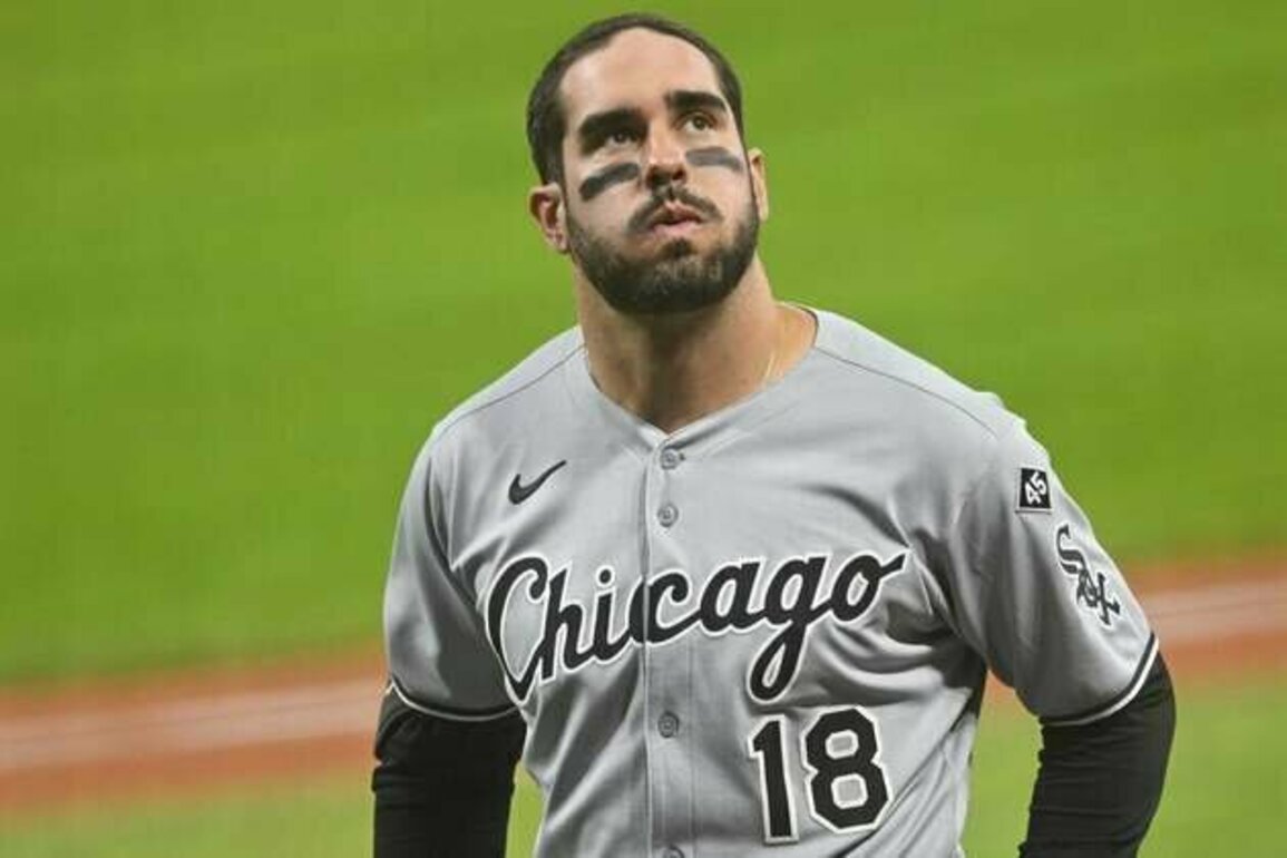 White Sox place OF Mike Tauchman, RHP Wikelman Gonzalez on IL
