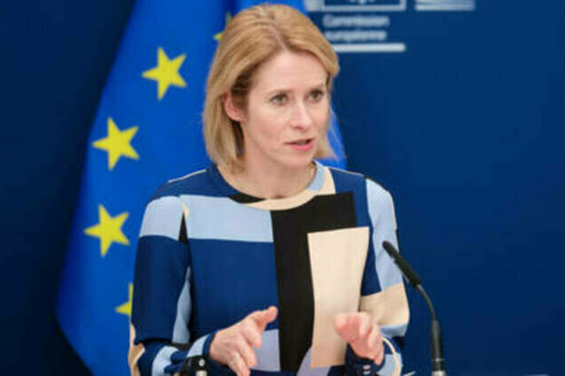 US adopting 'Russian narrative' - EU's Kallas