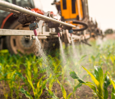 'Vicious cycle': Pesticides worsening climate and nature crisis, report warns