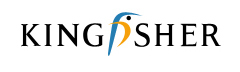 Kingfisher dividends rise