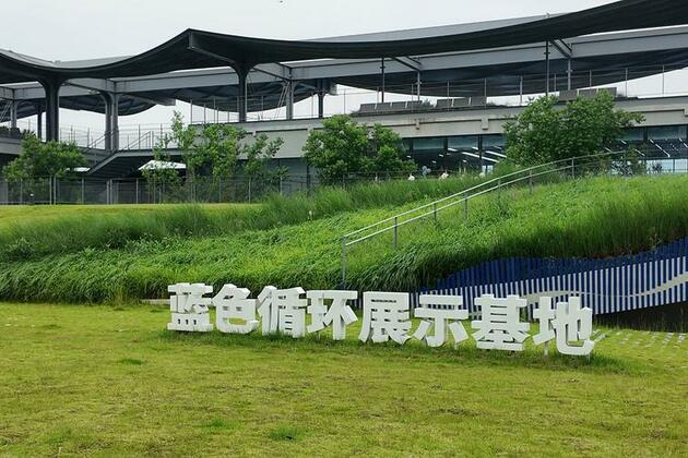 Chinese island's ocean-friendly changes deliver dual gains in ecology, economy