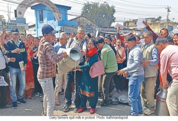 Dairy dilemma: Nepali farmers demand fair pay amidst economic turmoil