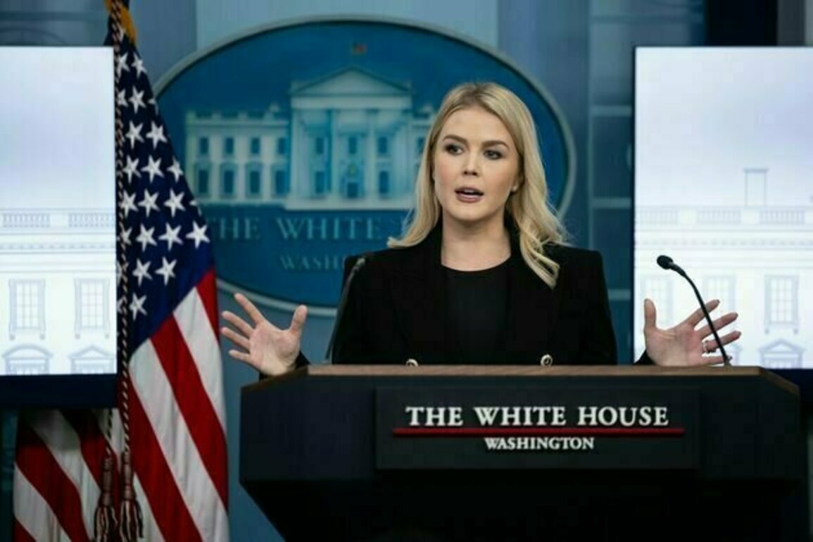 White House spat with AP over 'Gulf of America' ignites fears for press freedom in second Trump era