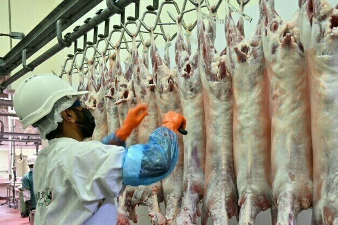 Abu Dhabi slaughterhouses ready to serve public during Eid Al-Adha
