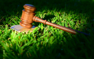 Study: More than three quarters of climate litigation cases have been filed since 2015