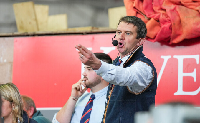 Auctioneer Russell Steer