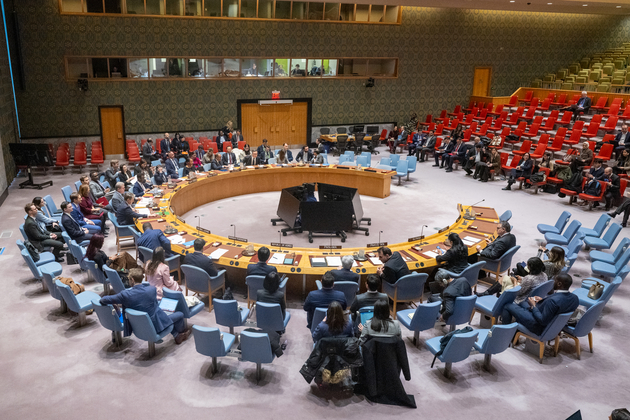 UN-SECURITY COUNCIL-VENEZUELA SITUATION