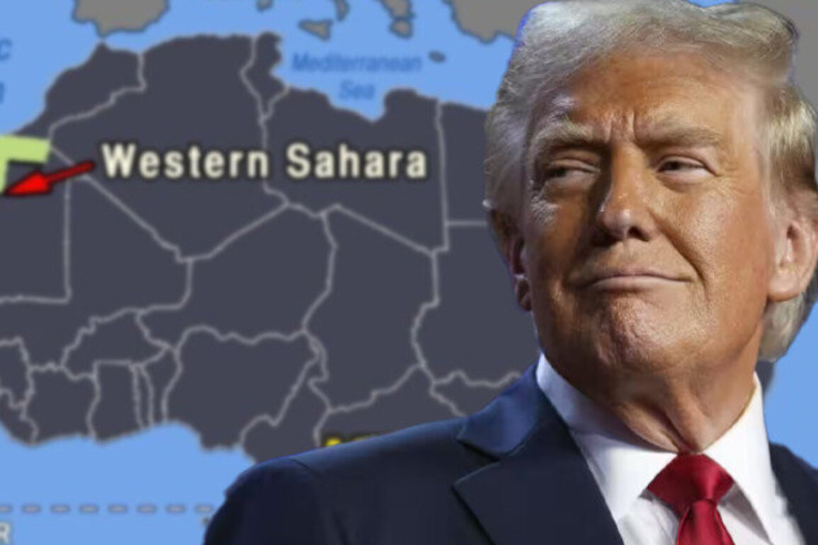 Western Sahara, Trump and the exposure of international law