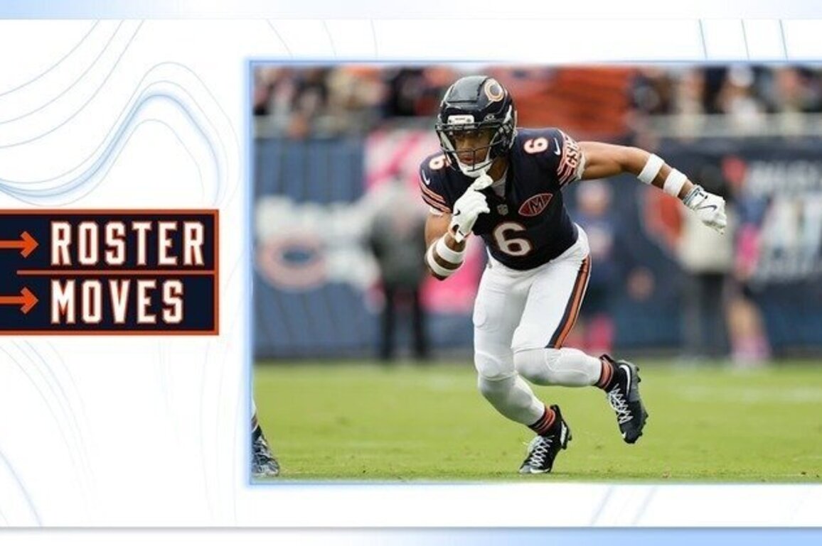 Roster Moves: Chicago Bears place Gordon on IR, elevate two