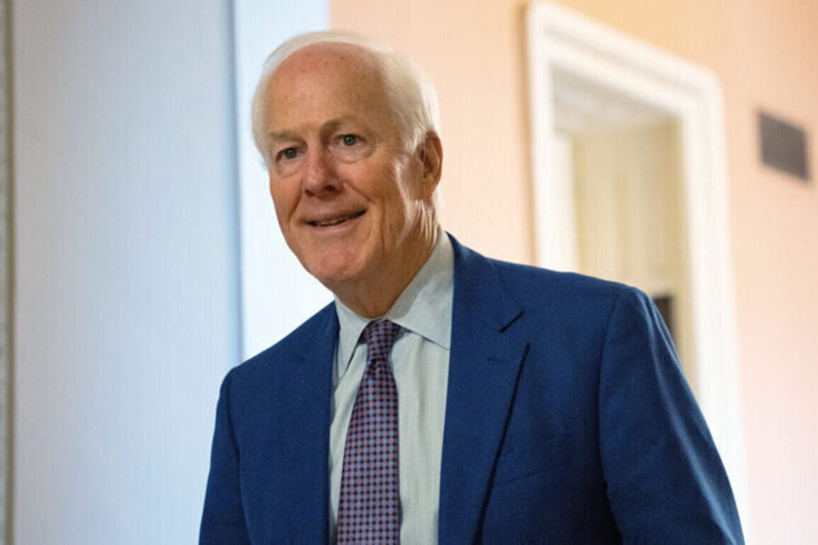 Texans head to the polls for high-stakes US Senate primary