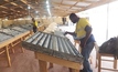 Inspecting core at Namdini in Ghana