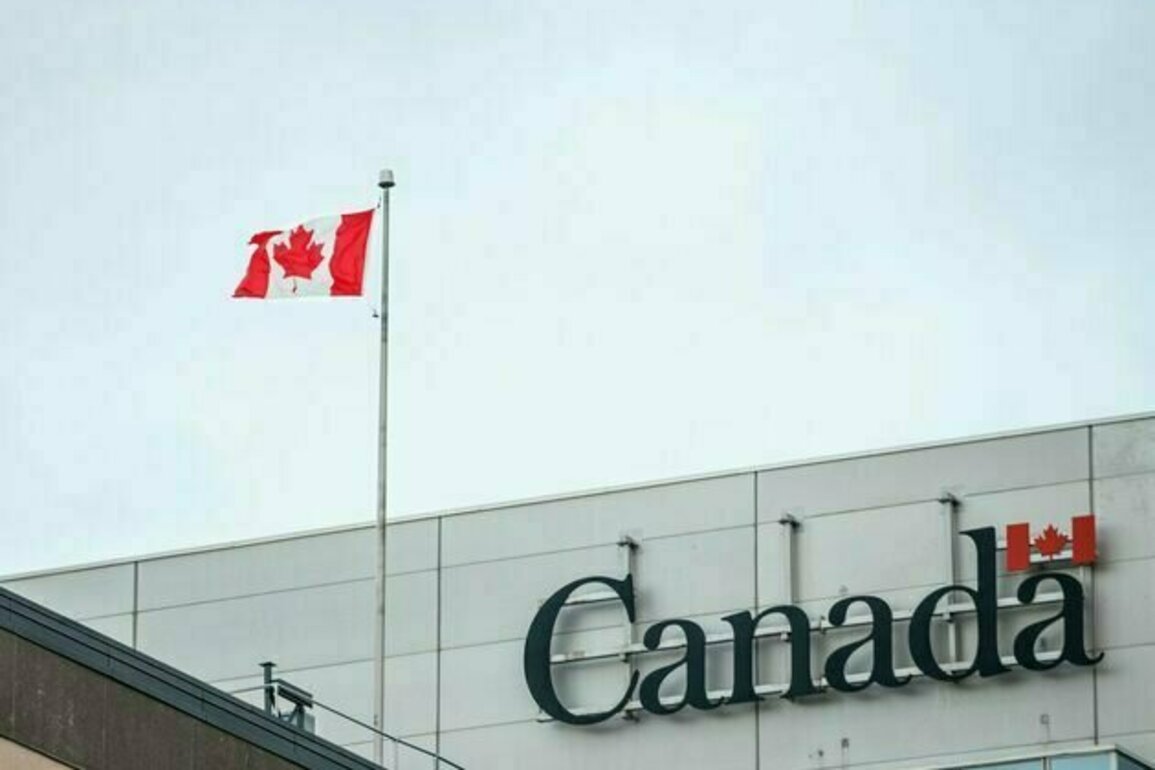 Canadian immigrants are overqualified and underemployed - reforms must address this