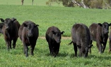 Grass-fed scheme gets global recognition