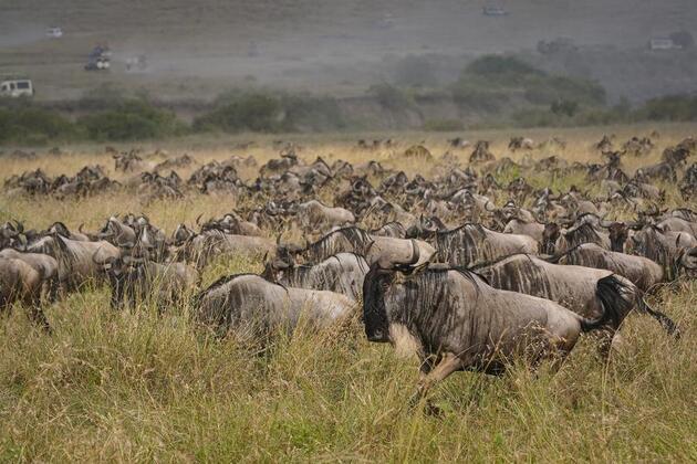 Africa emerges as trendy destination for young Chinese travelers