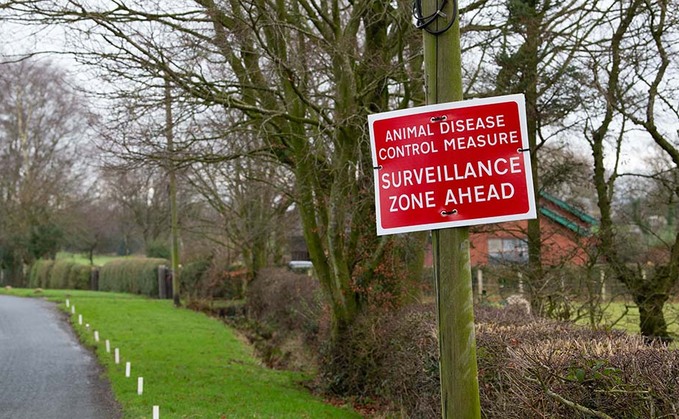 Person tests positive for bird flu but public reassured case 'extremely rare'