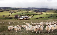 Pembrokeshire tenant farmers 'disillusioned' with new Habitat Scheme