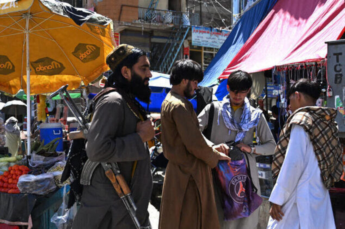 Pakistan renews air strikes on Afghanistan, killing several