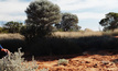 Wiluna gets environmental approval