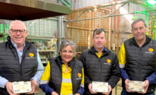 Auric managing director Mark English, marketing manager Wiggy Saunders, senior geologist Nicholas Snow and technical director John Utley holding gold dore bars. Credit: Auric Mining