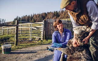 Why working closely with your vet makes more financial sense than ever