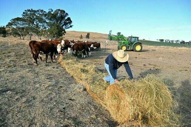 Triple whammy: how 3 types of drought crippled southern Australia this year