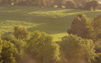 Profitability: Why margins, mindset and people matter