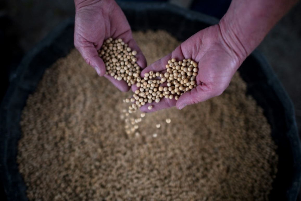 'Anxious'- US Farmers See Tariffs Threaten Earnings - IBTimes