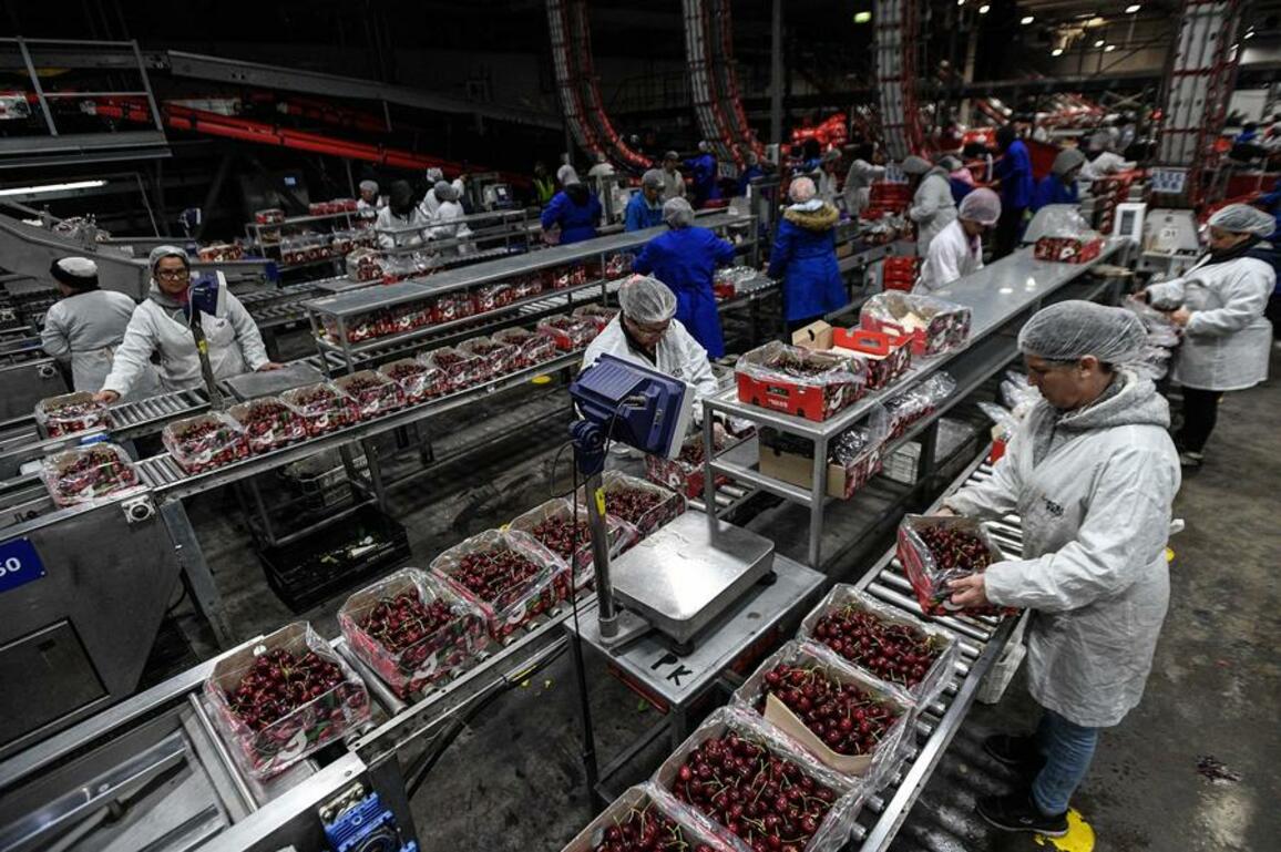 China expands visa-free access for Latin America to boost trade ties