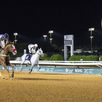 Najeeb Al Zaman claims title of UAE President's Cup for Purebred Arabian Horses in Saudi Arabia