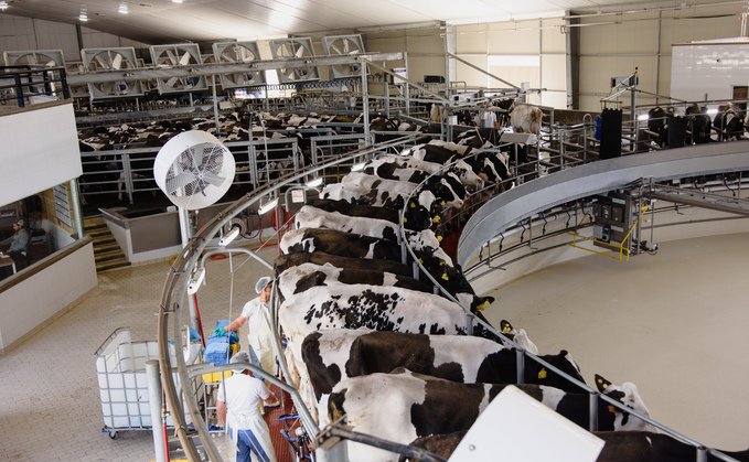 Cows are milked by three rotary parlours at the Proan dairy farm in Mexico
