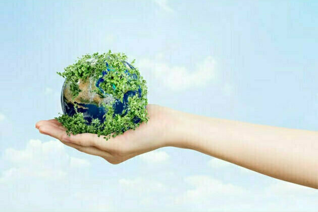 Embarking on the decarbonisation journey